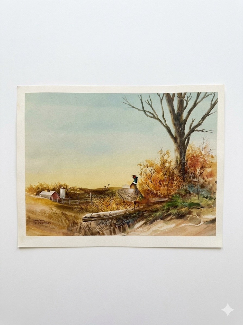 Pheasant Countryside Watercolor Art Print in Earth Tones